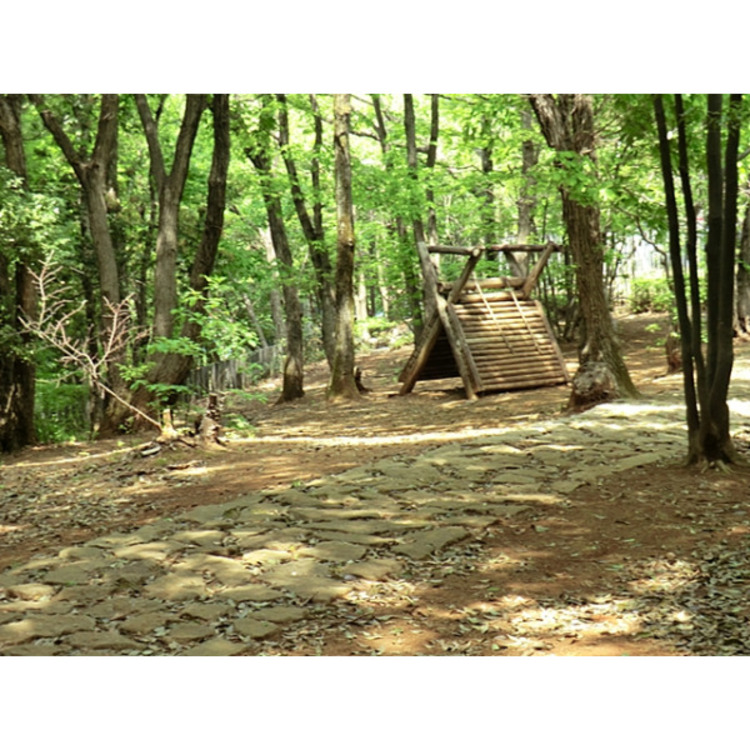 周辺 八国山緑地(約1050m)