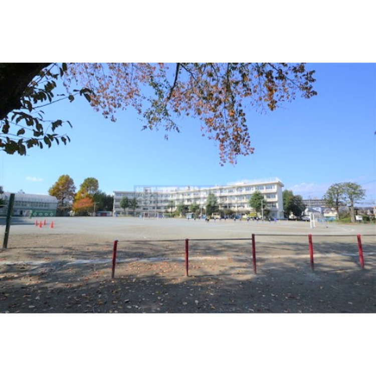 周辺 若狭小学校(約550m)