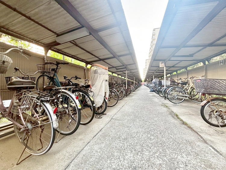 設備 整理整頓された駐輪場で、管理体制の良好さがうかがえます。