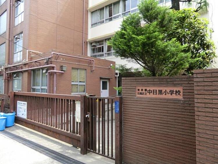 周辺 目黒区立中目黒小学校  910m