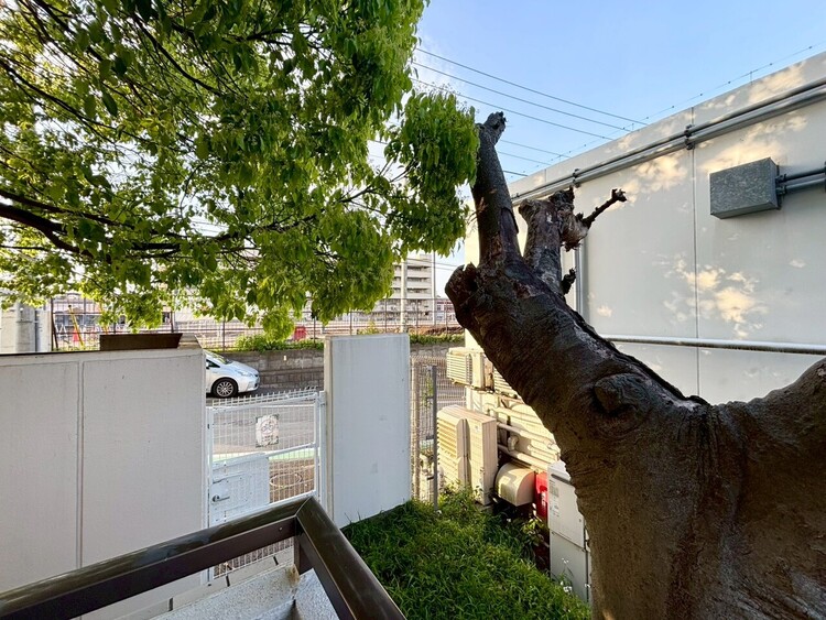 その他 眺望や窓からの景色が良いと、家で過ごす時間も快適です。