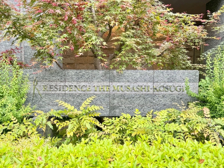 その他 清潔感のある落ち着いた雰囲気の玄関です。