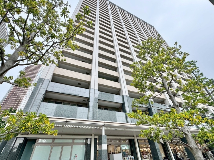 その他 忙しく過ぎゆく日常を置き去るほど、ゆったりした時間が流れる住環境。