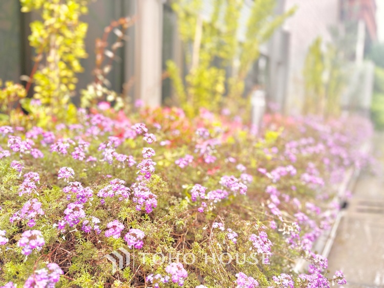 外観 陽だまりに満ちたくつろぎの空間を演出します。