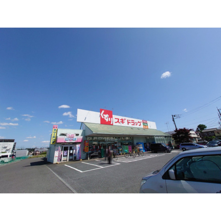 周辺 スギ薬局新座片山店(約550m)