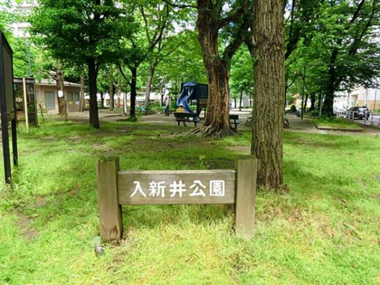 周辺 入新井公園	　300m