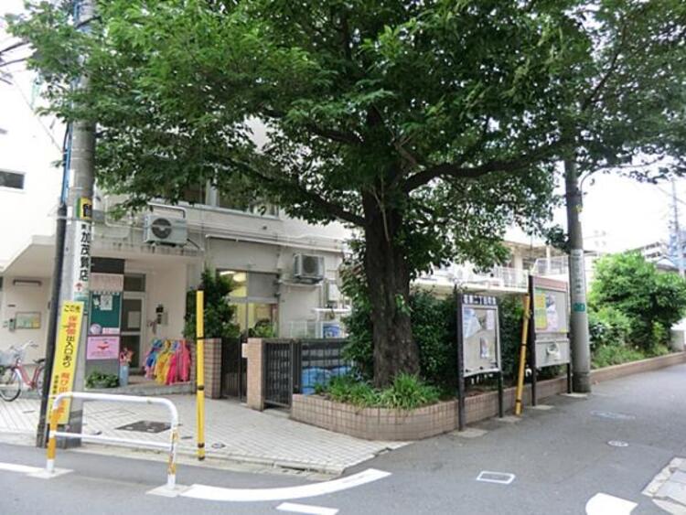 周辺 荏原保育園　240ｍ