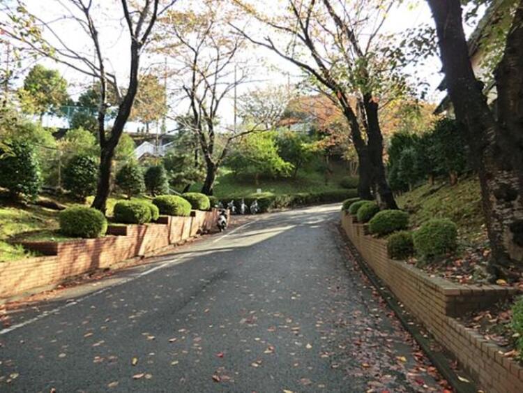 周辺 横浜市立新田小学校　900m