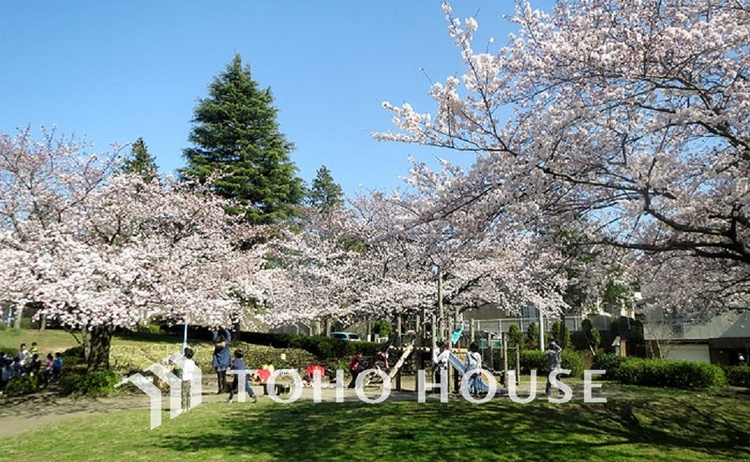 周辺 南つくし野さくら公園　距離550m