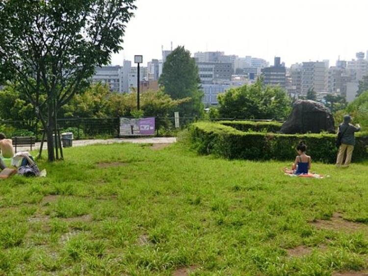 周辺 西郷山公園　520ｍ