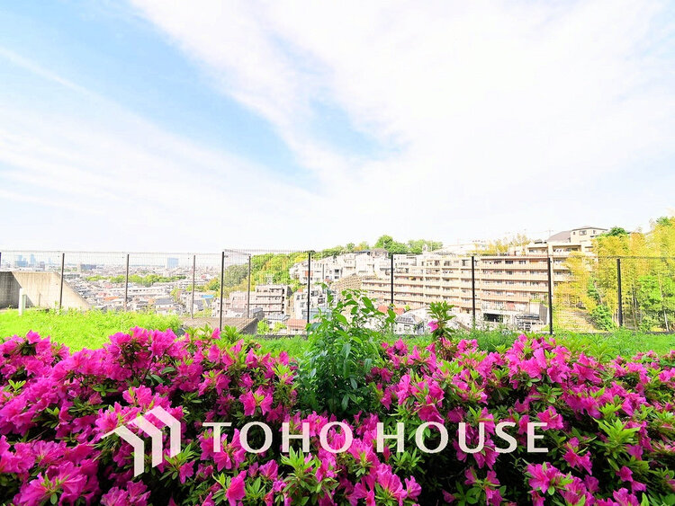 その他 住戸からの眺望