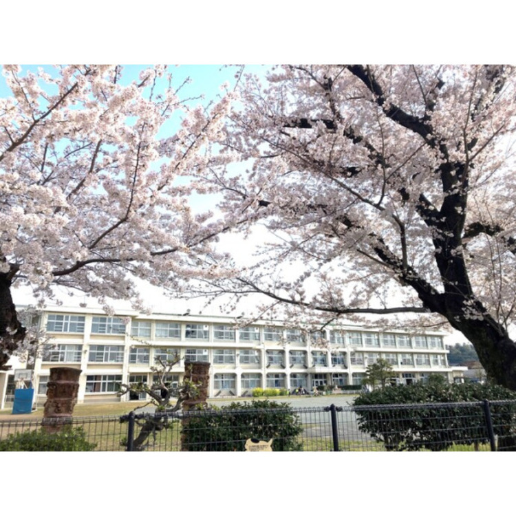 周辺 武蔵村山市立第二小学校(約1090m)