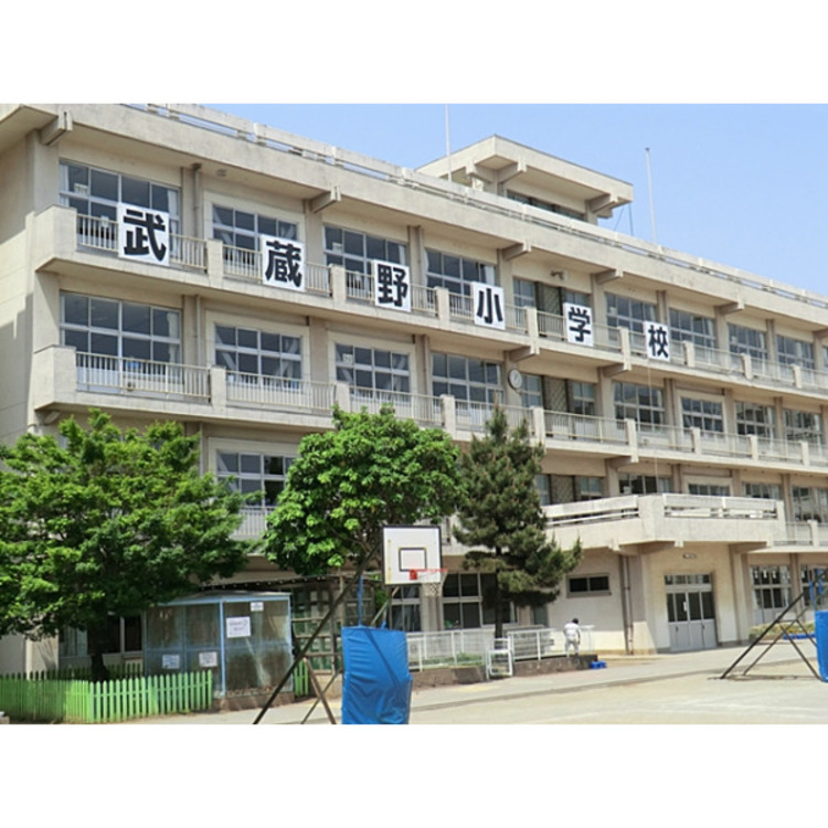 周辺 川越市立武蔵野小学校(約600m)