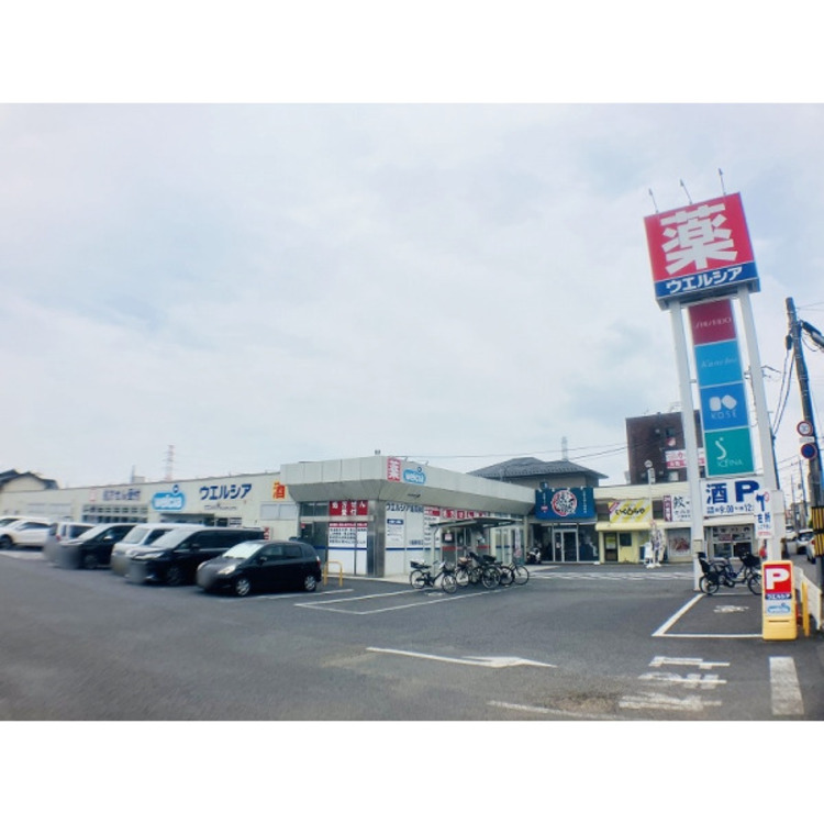 周辺 ウェルシア川越新宿店(約580m)