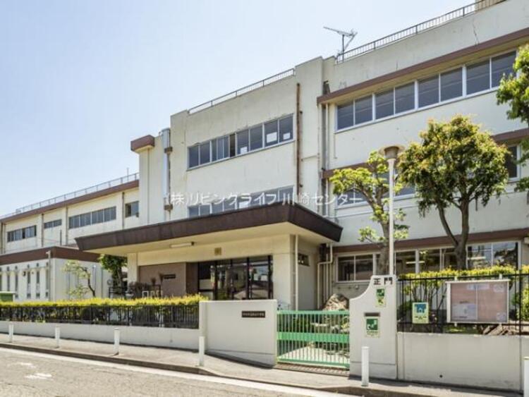 周辺 川崎市立臨港中学校  700m