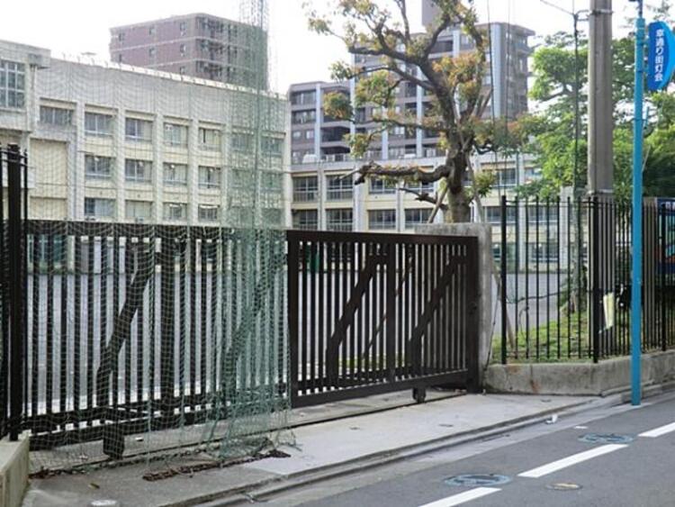 周辺 川崎市立南河原中学校まで約70m