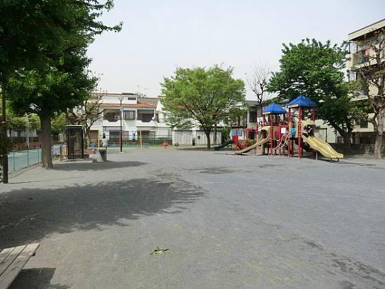 周辺 京町公園　300ｍ