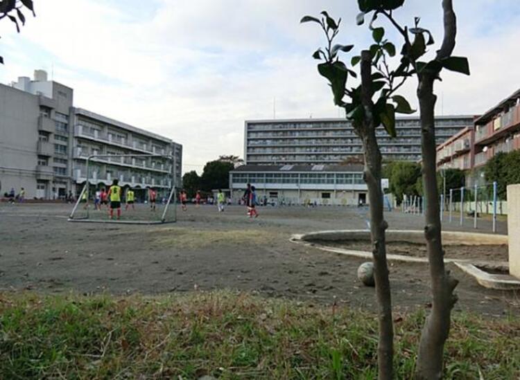 周辺 横浜市立大豆戸小学校　570ｍ