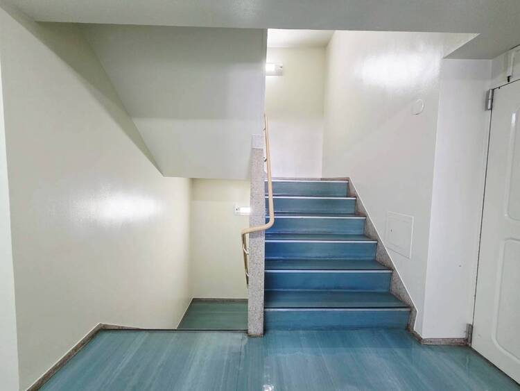 その他 共用部の階段です。明るく清潔に管理されています。