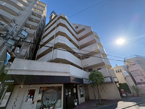 ライオンズマンション平間駅前の物件画像