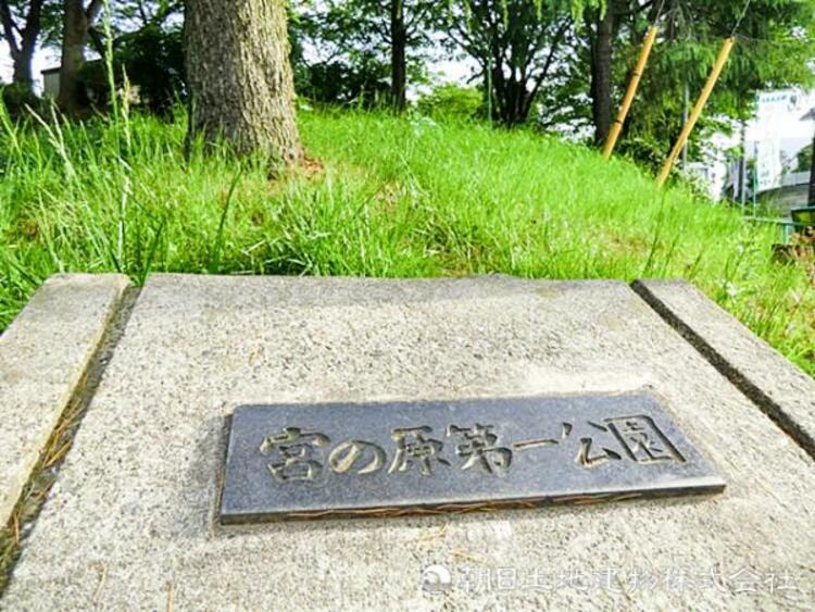 周辺 【宮の原第一公園】520ｍ　閑静で整った住宅地の中にある、木々に囲まれた木陰の気持ち良い公園です。遊具や走れるスペースもしっかりあり、お子様の遊び場にぴったりです。