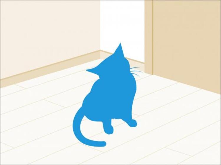 設備 ペットの飼育も可能。大切な家族の一員であるペットとの、楽しい暮らしが始まります。なお飼育できるペットは種類、大きさ、頭数等に制限があります。詳細は管理規約等の定めによります。