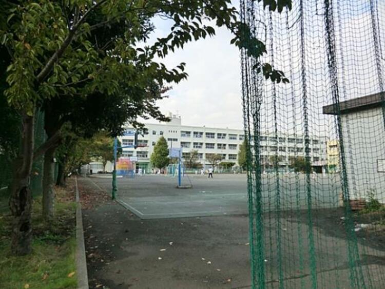 周辺 横浜市立大綱小学校　320ｍ