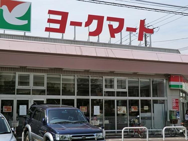 周辺 ヨークマート 大倉山店　230ｍ