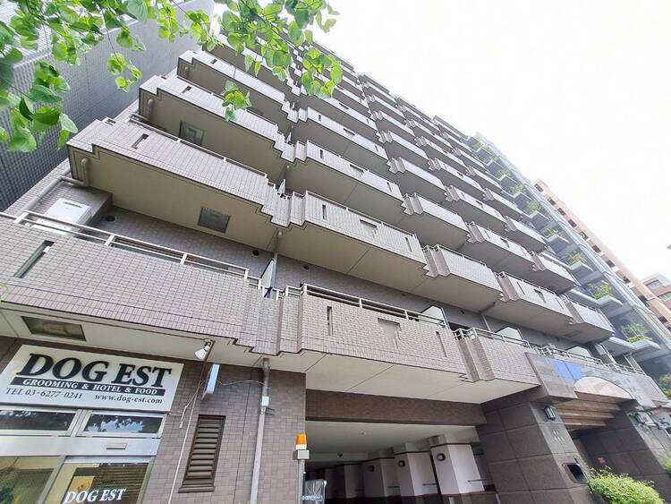 その他 飽きのこないシンプルモダンな外観です。