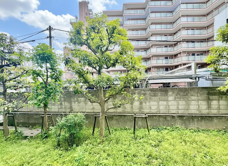 その他 陽当たり・通風・開放感に恵まれた環境です。