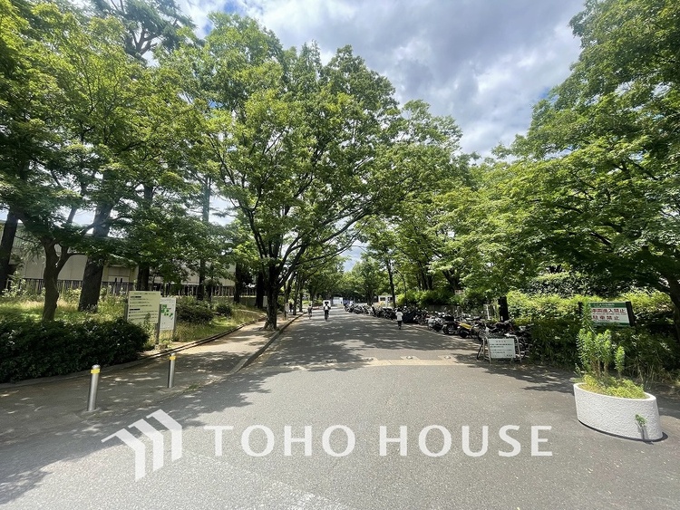 周辺 駒沢オリンピック公園　距離300ｍ