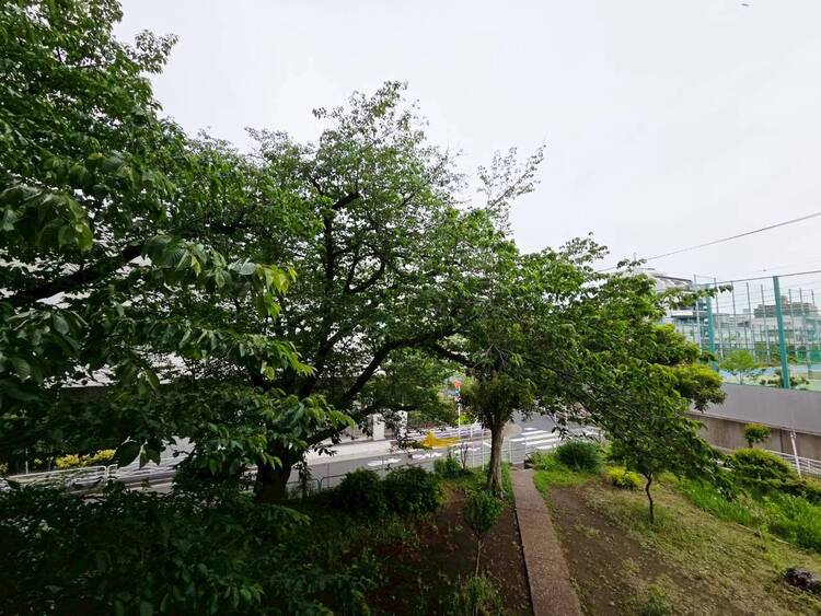その他 陽当たり・通風・開放感に恵まれた環境です。