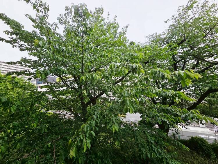 その他 眺望や窓からの景色が良いと、家で過ごす時間も快適です。