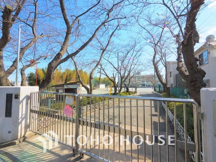 周辺 横浜市立新田小学校　距離270ｍ
