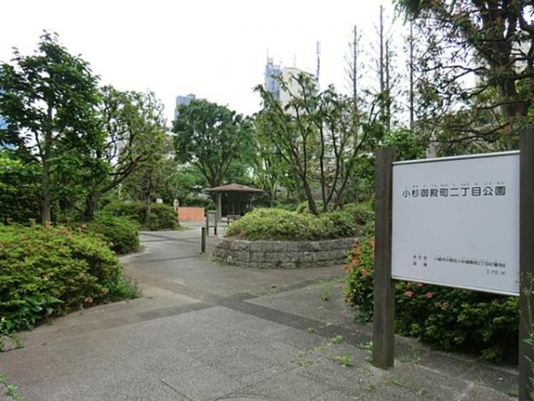 周辺 小杉御殿町公園　550ｍ