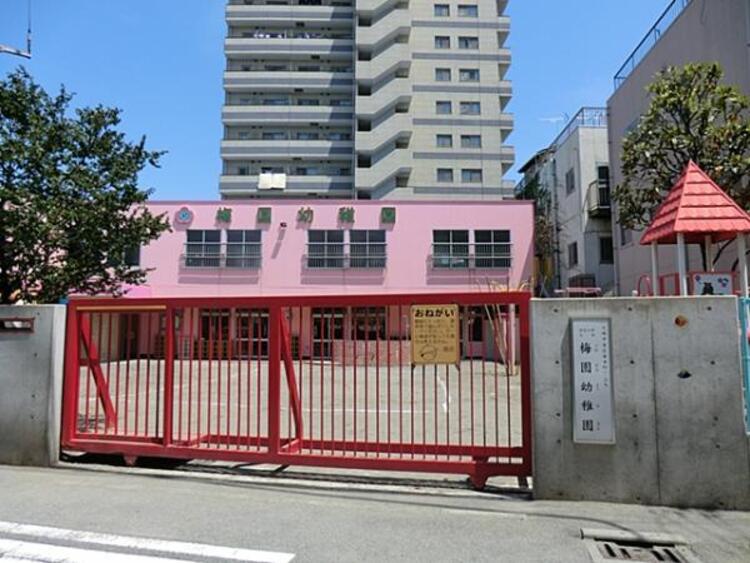 周辺 梅園幼稚園	330m	