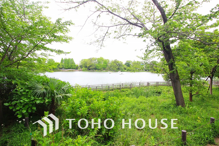 周辺 洗足池公園　距離650m