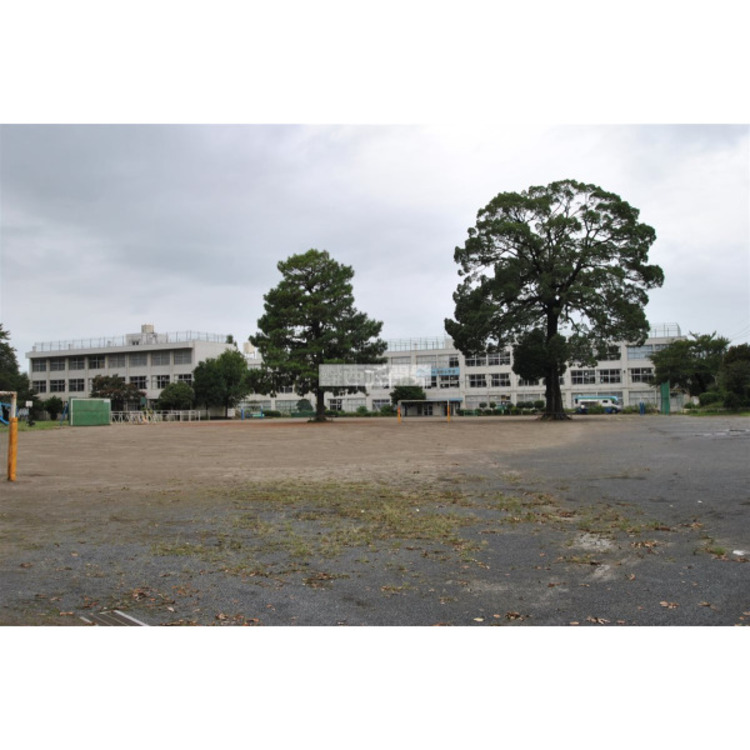 周辺 堀兼小学校(約2900m)