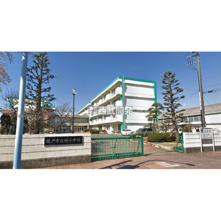 周辺 桜小学校(約800m)