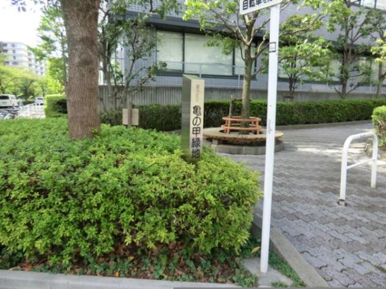 周辺 亀の甲緑地　520ｍ