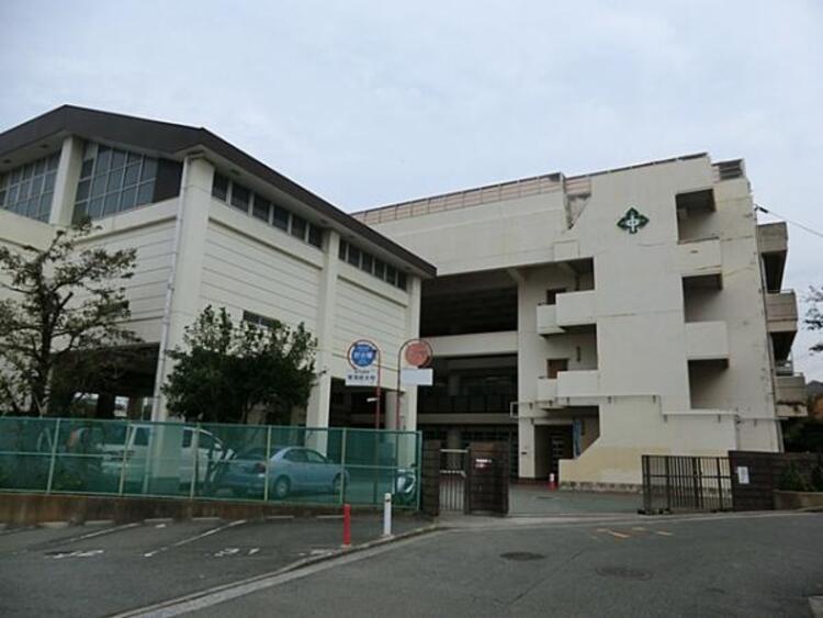 周辺 横浜市立森中学校まで約1100ｍ