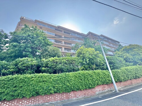杉並和田ハイムの物件画像