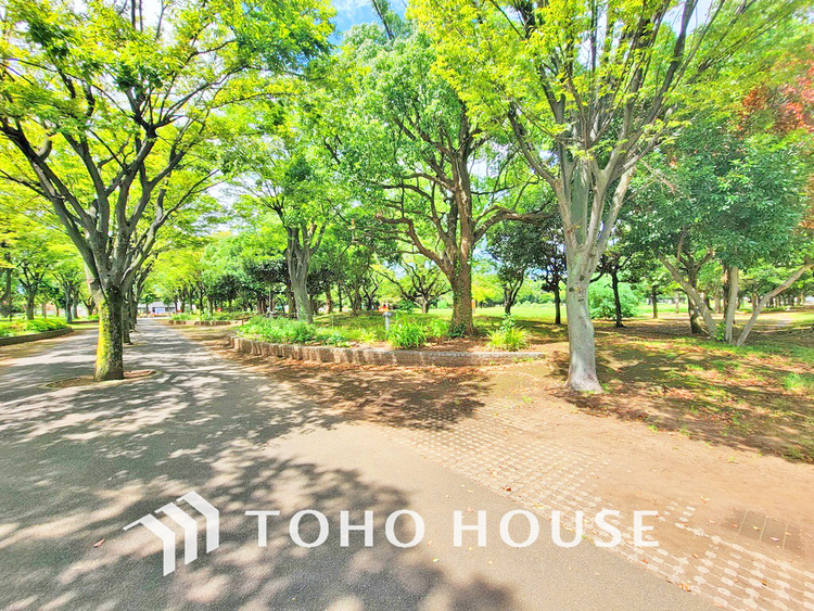 周辺 入船公園　距離600ｍ