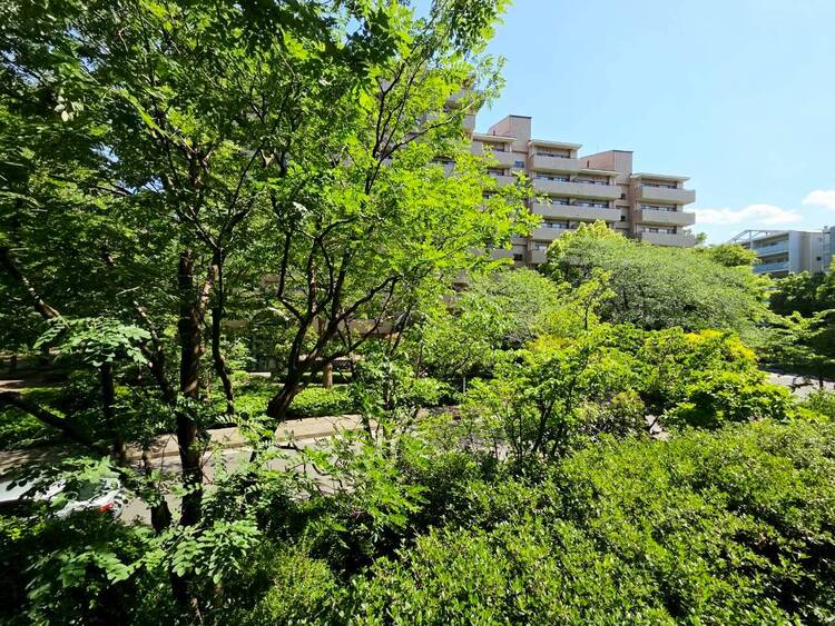 その他 陽当たり・通風・開放感に恵まれた環境です。
