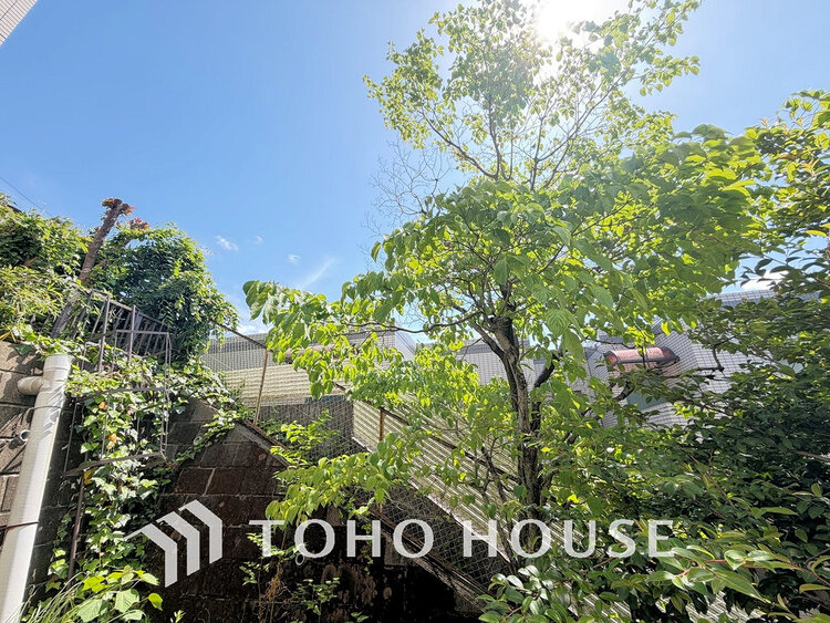 その他 住戸からの眺望