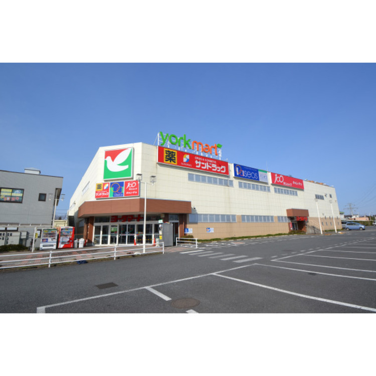 周辺 ヨークマート入間店(約820m)