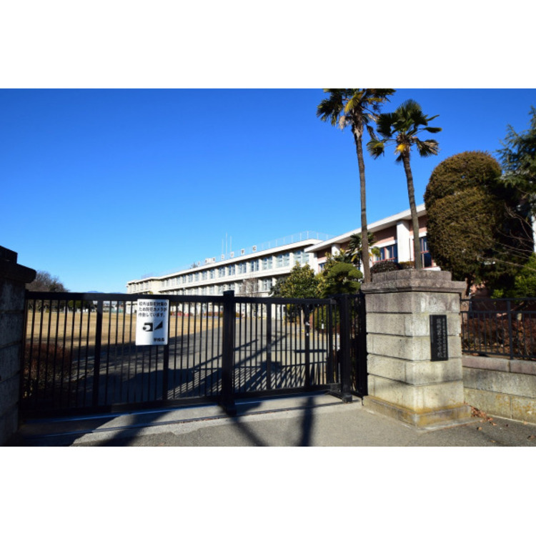 周辺 瑞穂第三小学校(約700m)