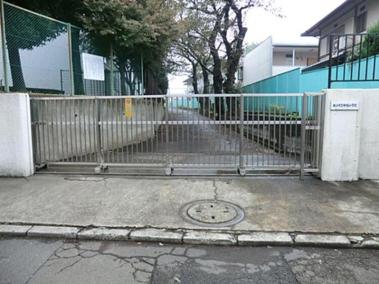 周辺 横浜市立神橋小学校　250m