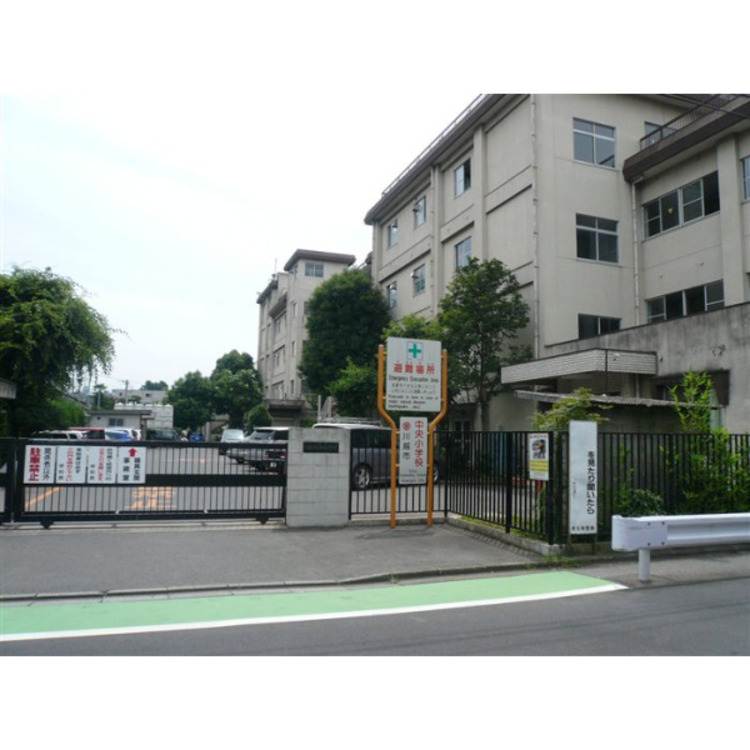 周辺 中央小学校(約340m)