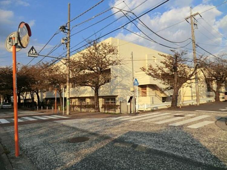 周辺 横浜市立南台小学校まで約1420ｍ